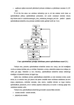 Diplomdarbs 'Apdrošināšanas uzņēmuma AAS "BTA" darbības analīze un attīstības iespējas', 43.