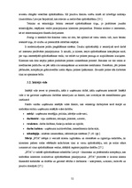 Diplomdarbs 'Apdrošināšanas uzņēmuma AAS "BTA" darbības analīze un attīstības iespējas', 52.