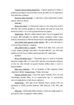 Konspekts 'Salīdzinājuma tabula par ekonomiskās attīstības faktoriem/rādītājiem Ziemeļameri', 2.