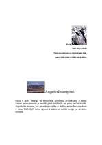 Konspekts 'Kalni', 2.