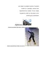 Konspekts 'Kalni', 5.