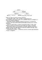 Prakses atskaite 'Kabeļtelevīzijas "Baltkom TV" sakaru sistēmas', 8.