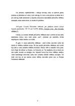 Referāts 'Vēlēšanas 2005.gada 12.martā', 6.