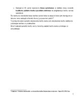 Referāts 'Starptautisko tiesību avoti un to īpatnības', 5.