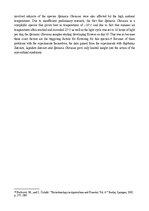 Referāts 'A Study on the Effects of Mycorrhizal Symbiosis', 20.