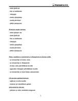 Referāts 'Bankas finanšu darbības analīze', 2.