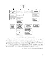 Referāts 'AS "Softex Latvia" darbība', 9.