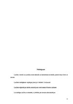 Referāts 'Laulības noslēgšana brīvības atņemšanas vietās', 11.