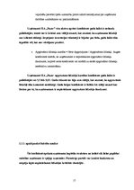 Referāts 'Finanšu koeficientu analīze uzņēmumā SIA "Fazer"', 17.