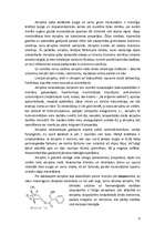 Konspekts 'Muskarīnjūtīgie holinoblokatori', 4.