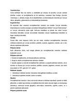 Diplomdarbs 'Novadu izpēte Latvijas Republikā (1990-2005)', 5.