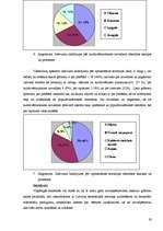 Diplomdarbs 'Novadu izpēte Latvijas Republikā (1990-2005)', 19.