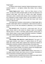 Diplomdarbs 'Novadu izpēte Latvijas Republikā (1990-2005)', 38.