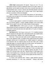 Diplomdarbs 'Novadu izpēte Latvijas Republikā (1990-2005)', 40.