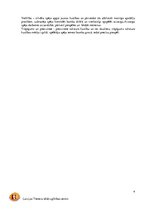 Prakses atskaite 'Treniņu gada plāns basketbolā', 4.