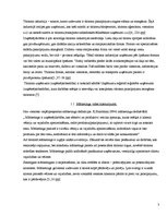 Referāts 'Mārketinga elementu kombinēšana tūrisma un atpūtas centrā "Plosti"', 3.