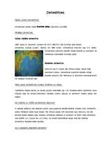 Konspekts 'Zemestrīces', 1.