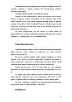 Diplomdarbs 'Parādu piedziņas kompānijas dibināšana', 7.