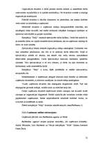 Diplomdarbs 'Parādu piedziņas kompānijas dibināšana', 22.