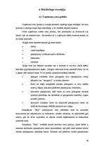 Diplomdarbs 'Parādu piedziņas kompānijas dibināšana', 49.