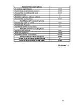Diplomdarbs 'Parādu piedziņas kompānijas dibināšana', 94.