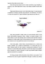 Referāts 'Organizācijas "Saga" iekšējās vides faktoru analīze', 12.