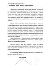 Referāts 'Organizācijas "Saga" iekšējās vides faktoru analīze', 19.