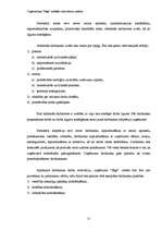 Referāts 'Organizācijas "Saga" iekšējās vides faktoru analīze', 27.