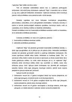 Referāts 'Organizācijas "Saga" iekšējās vides faktoru analīze', 28.