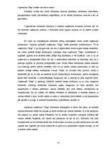 Referāts 'Organizācijas "Saga" iekšējās vides faktoru analīze', 29.