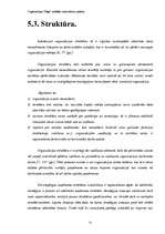 Referāts 'Organizācijas "Saga" iekšējās vides faktoru analīze', 31.