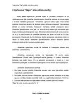 Referāts 'Organizācijas "Saga" iekšējās vides faktoru analīze', 33.