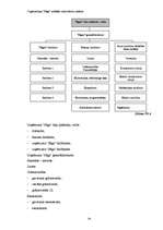 Referāts 'Organizācijas "Saga" iekšējās vides faktoru analīze', 34.
