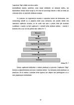 Referāts 'Organizācijas "Saga" iekšējās vides faktoru analīze', 38.