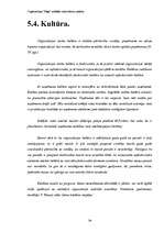 Referāts 'Organizācijas "Saga" iekšējās vides faktoru analīze', 39.