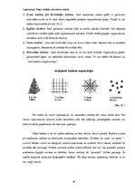 Referāts 'Organizācijas "Saga" iekšējās vides faktoru analīze', 40.