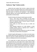 Referāts 'Organizācijas "Saga" iekšējās vides faktoru analīze', 43.