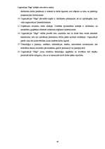 Referāts 'Organizācijas "Saga" iekšējās vides faktoru analīze', 48.