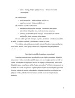 Referāts 'Emocionālais līdzpārdzīvojums Annas Sakses "Pasakās par ziediem"', 5.