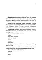 Referāts 'Mārketinga vide, tās faktoru analīze un vērtēšana', 2.