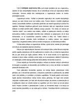 Referāts 'Būvniecības uzņēmuma tēla veidošana', 16.