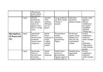 Konspekts 'Pedagoģiskā darba plāns darbā ar 5-6 gadus veciem bērniem', 10.