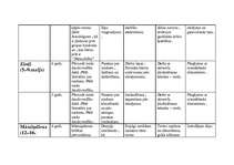 Konspekts 'Pedagoģiskā darba plāns darbā ar 5-6 gadus veciem bērniem', 29.