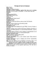 Referāts 'Ķengurveidīgie', 3.