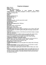 Referāts 'Ķengurveidīgie', 10.