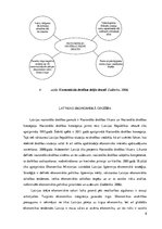 Referāts 'Ekonomiskā drošība un apraudējumi pasaulē', 8.