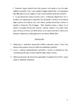 Referāts 'Ekonomiskā drošība un apraudējumi pasaulē', 11.