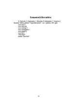 Referāts 'Automašīna "Audi"', 20.