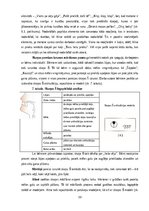 Diplomdarbs 'Fonemātiskās uztveres sekmēšana vecākā pirmsskolas vecuma bērniem ar runas fonēt', 39.