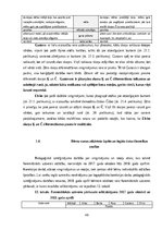 Diplomdarbs 'Fonemātiskās uztveres sekmēšana vecākā pirmsskolas vecuma bērniem ar runas fonēt', 48.